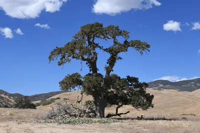 DSC_2282 (Large).JPG